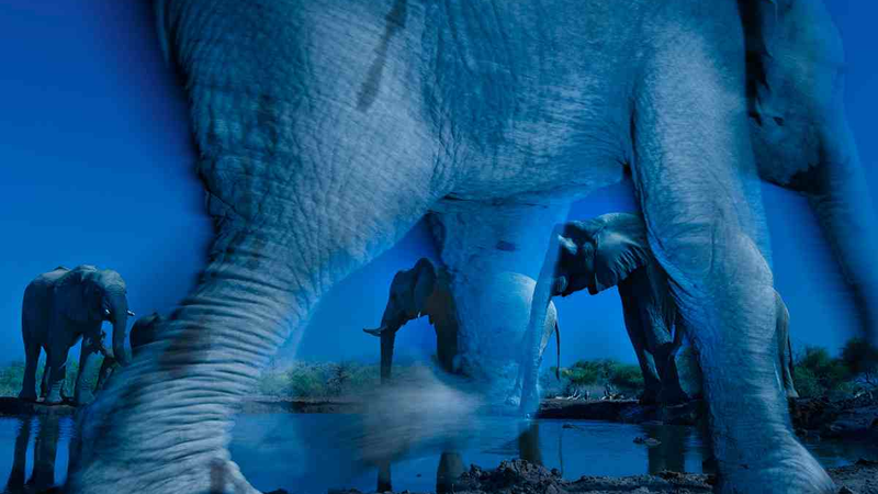 Illustration for article titled The 100 Most Astonishing Images of 2013